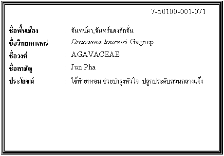 กล่องข้อความ: 7-50100-001-071 ชื่อพื้นเมือง : จันทน์ผา,จันทร์แดงลักจั่น ชื่อวิทยาศาสตร์ : Dracaena loureiri Gagnep. ชื่อวงศ์ : AGAVACEAE ชื่อสามัญ : Jun Pha ประโยชน์ : ใช้ทำยาหอม ช่วยบำรุงหัวใจ ปลูกประดับสวนกลางแจ้ง
